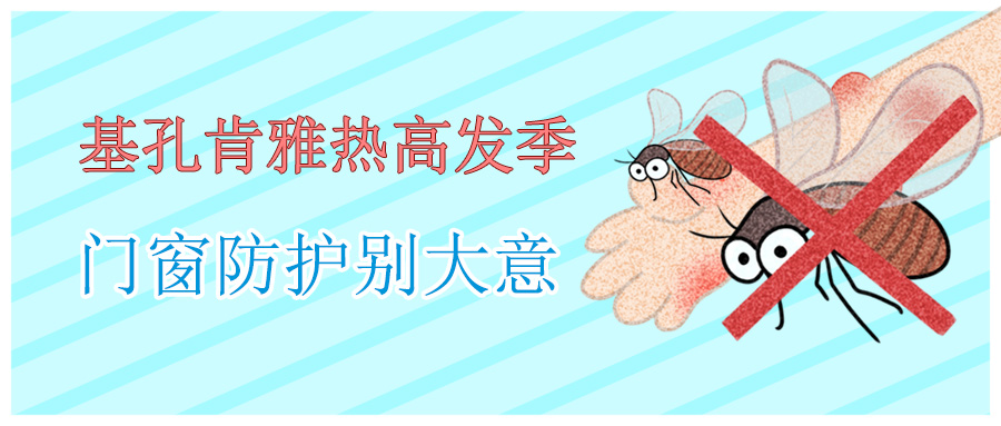 基孔肯雅熱高發季，門窗防護別大意